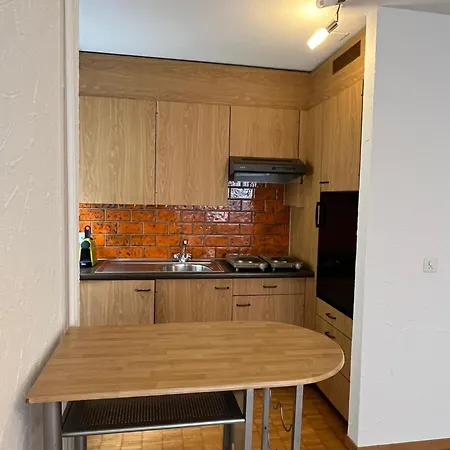 Charming In Niederdoerfli Apartment Zurich