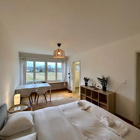 Apartment Cozy In Witikon District