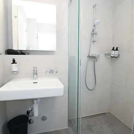 New Center With Private Entry & Parking Apartment Zurich