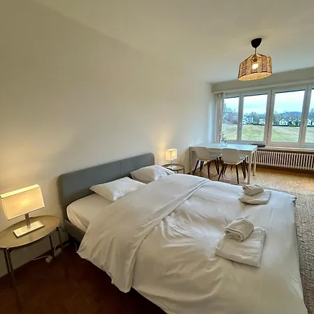 Apartment Cozy In Witikon District