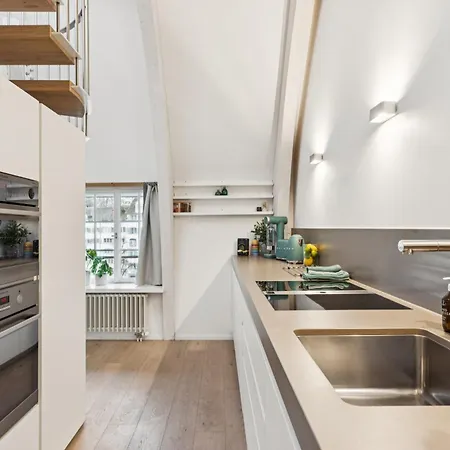 Old Town Diamond Penthouse Ac Private Rooftop Apartment Zurich