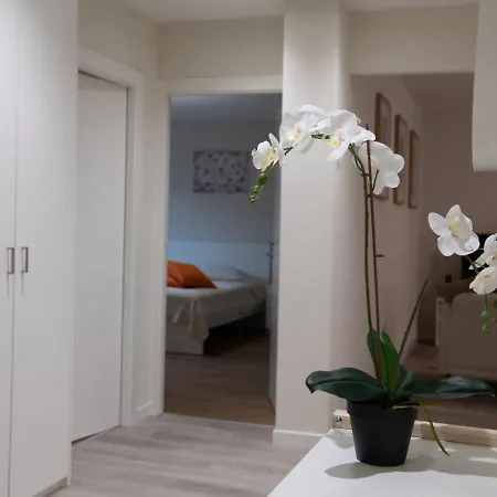The Line In Oerlikon Apartment *