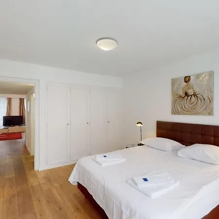 Charming 1bd Flat - Old Town Uz1 Apartment Zurich