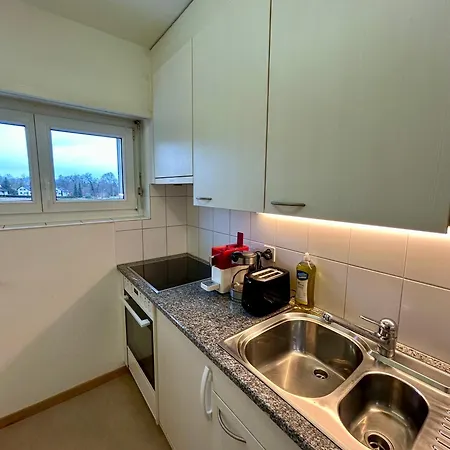 Apartment Cozy In Witikon District Zurich