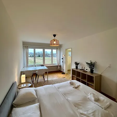 Cozy In Witikon District Apartment Zurich