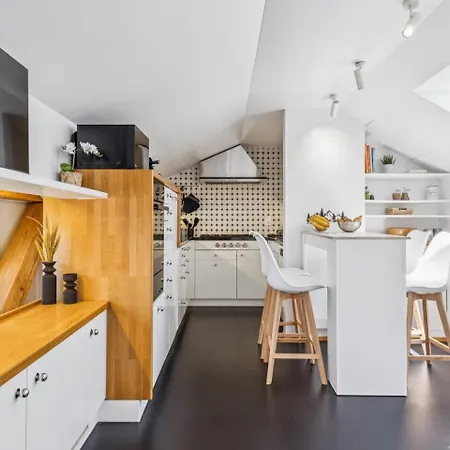 Old Town Penthouse Rooftop Terrace Ac * Zurich