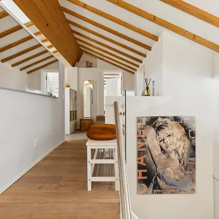 Old Town Diamond Penthouse Ac Private Rooftop Apartment Zurich