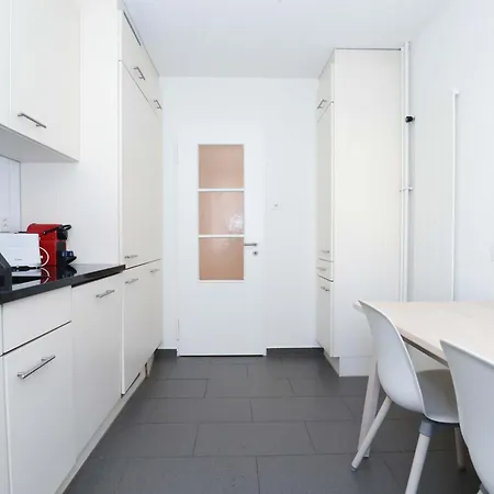 Airy Near Uetliberg Nature Apartment Zurich