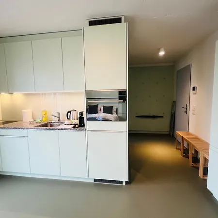 Modern Living, Luxe Apartment Zurich
