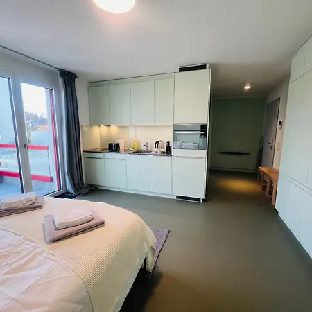 Modern Living, Luxe Apartment Zurich