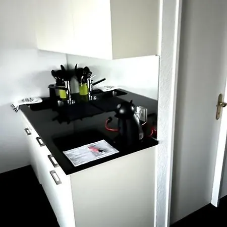 Executive Suite-business Edition Apartment *