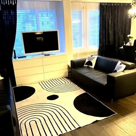 Executive Suite-business Edition Apartment