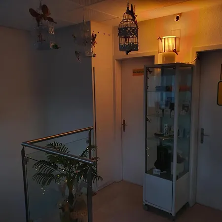 Hostel Viktoria Budget Zurich