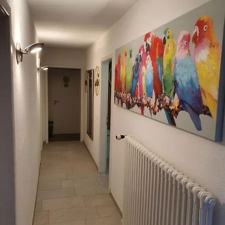 Hostel Viktoria Budget *