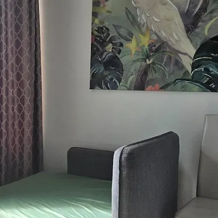Hostel Viktoria Budget Zurich