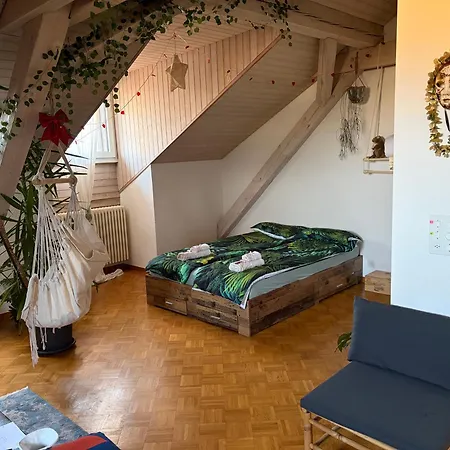 Apartment Urban Oasis - Attic In Iconic Langstrasse