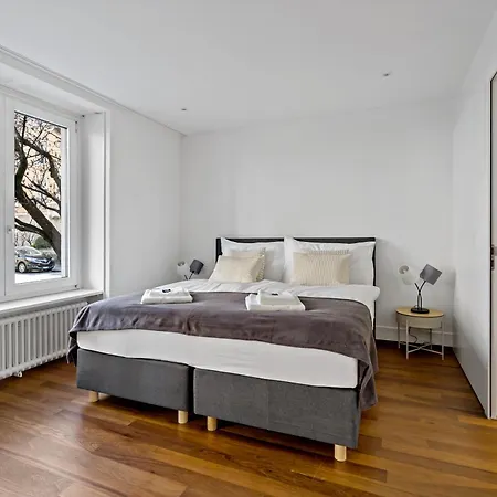 Newly Renovated Next To With Private Terrace Apartment Zürich