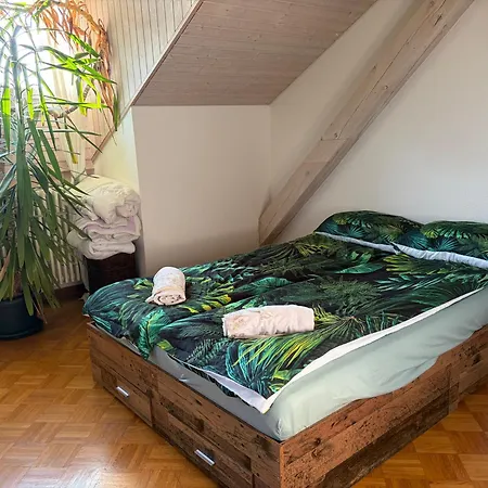 Urban Oasis - Attic In Iconic Langstrasse Apartment