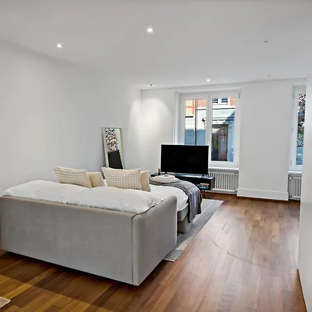 Apartment Newly Renovated Next To With Private Terrace Zürich
