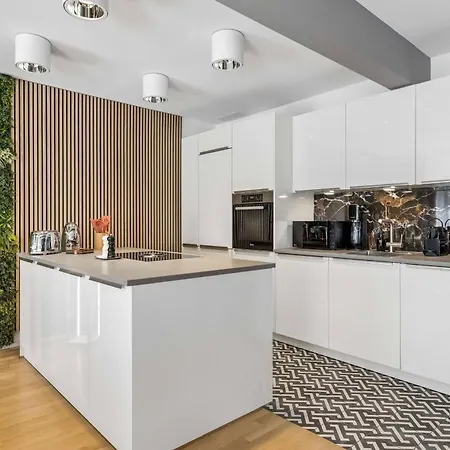 Oldtown Penthouse Maisonette Ac Privaterooftop * Zurich