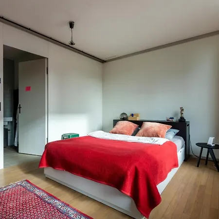 Apartment Art Loft Downtown Zurich