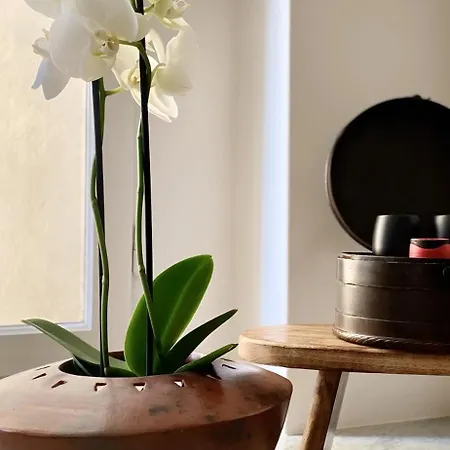 Apartment Goethe House In Old Town Zurich