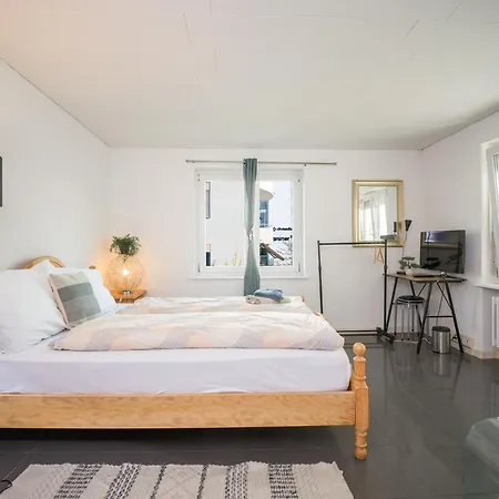 Near Oerlikon And Airport * Zurich