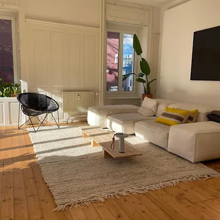 Apartment Loft In The Liveable Neighborhood Zurich