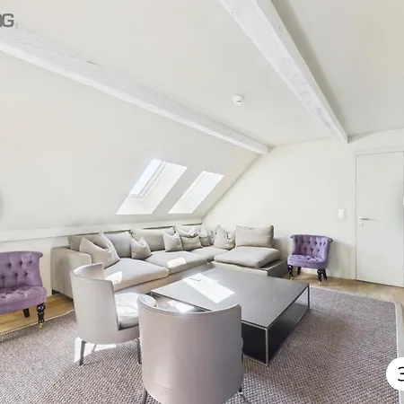 Luxury Penthouses In Center Apartment