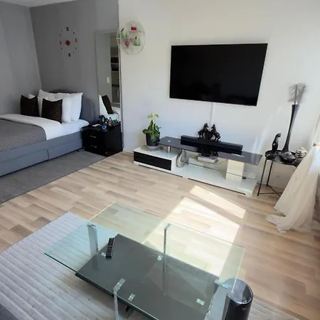 Apartment Bright In Heart Of Zurich