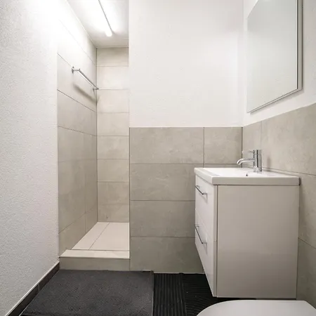 Apartment Near Oerlikon And Airport Zurich