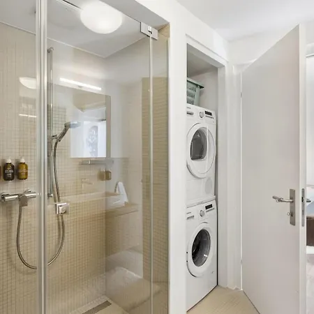 Ikon Old Town Penthouse Ac, & Mountain View Apartment Zurich