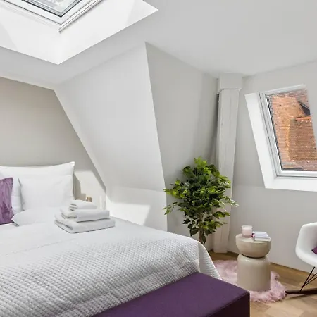 Ikon Old Town Penthouse Ac, & Mountain View Apartment Zurich