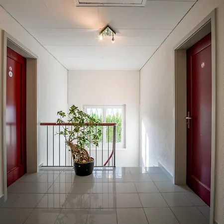 Near Oerlikon And Airport Apartment