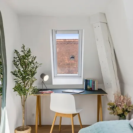 Apartment Ikon Old Town Penthouse Ac, & Mountain View Zurich