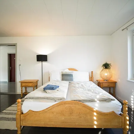 Apartment Near Oerlikon And Airport Zurich