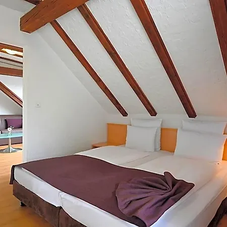 Olympia Hotel Zurich