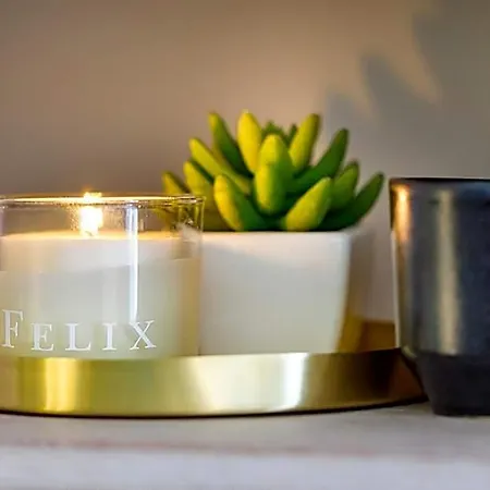 Felix Hotel 3*