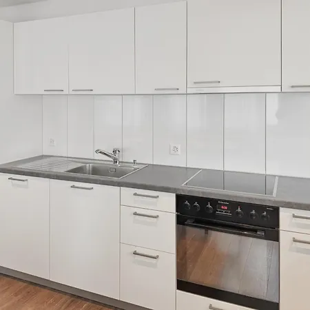 Apartment Executive 2br Flat 100sqm - Mainau 6 Zurich