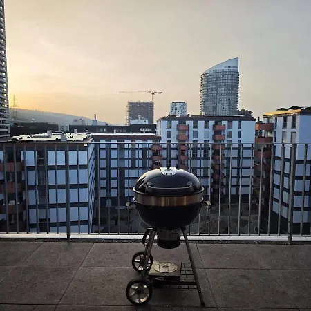 Modern With Balcony View & Workspace Zurich