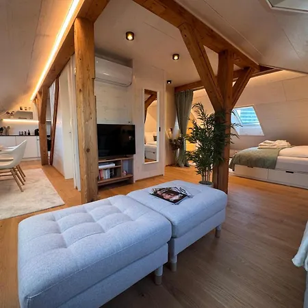 Waterfront Penthouse Ac Rooftop Free Parking Zurich