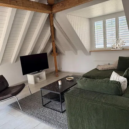 Apartment Attic With Parking And View Zurich
