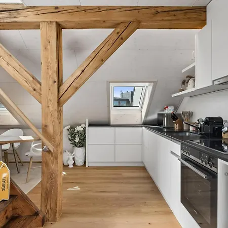 Waterfront Penthouse Ac Rooftop Free Parking Apartment Zurich