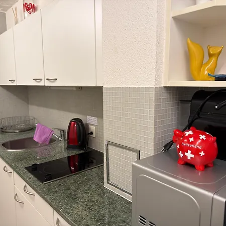 Grosses Fuer 12 Mit Aussenbereich In Apartment