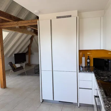 Attic With Parking And View Zurich
