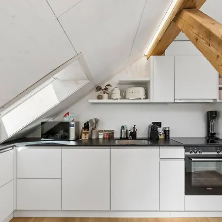 Waterfront Penthouse Ac Rooftop Free Parking Apartment Zurich