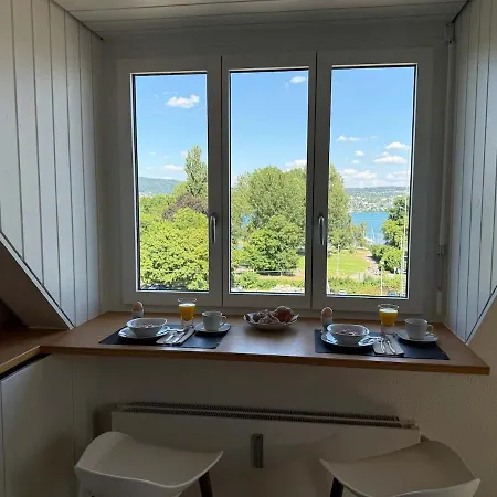 Attic With Parking And View * Zurich