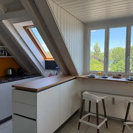 Apartment Attic With Parking And View Zurich