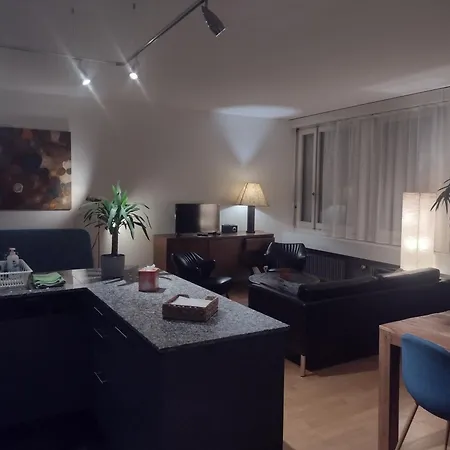 Spacious & Bright Loft In Downtown Zurich