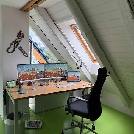 Attic With Parking And View Zurich